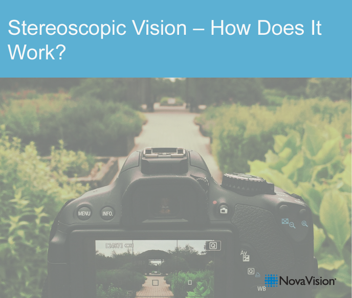 Stereoscopic Vision – How Does It Work?