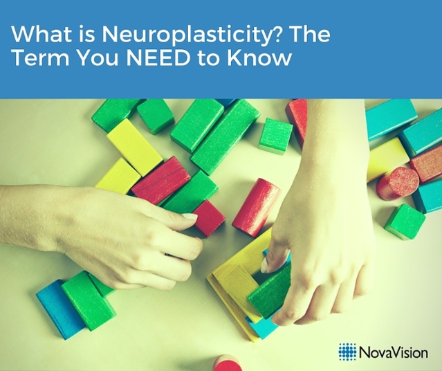 What Is Neuroplasticity, and Why Does It Matter for Recovery?