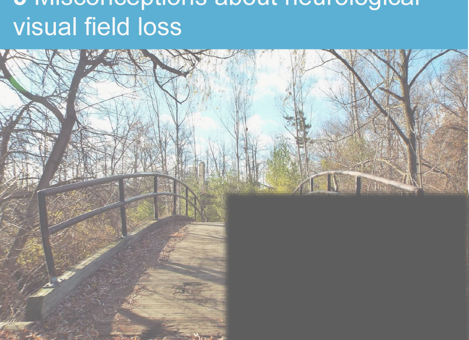 5 Misconceptions About Neurological Visual Field Loss
