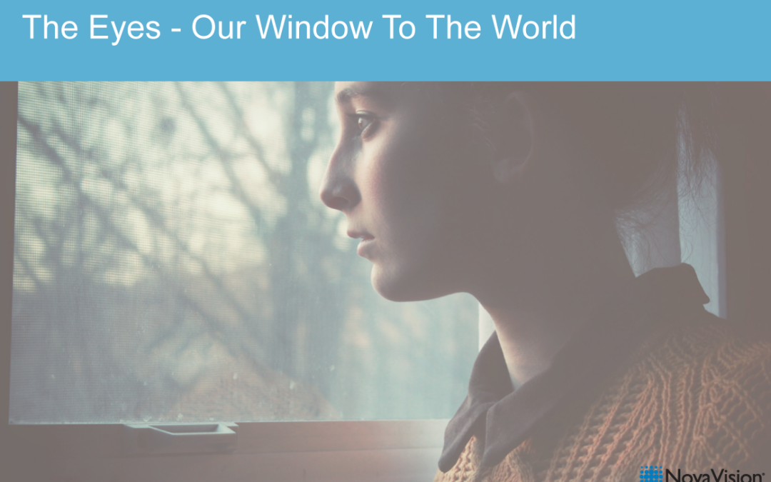 The Eyes – Our Window To The World